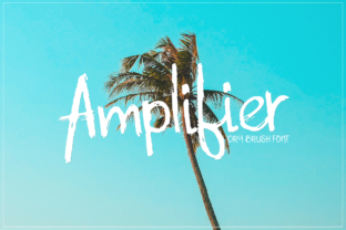Amplifier Font: Textured Typography for Editorial Design