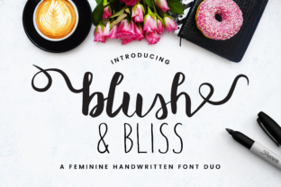Blush Bliss Font: A Branding Upgrade for Small Business