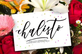 Chalisto Font: Modern Calligraphy for Editorial Design