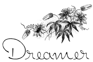 Dreamer Font: Adding Sincerity to Campaign Visuals