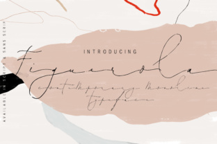 Figuerola Font: Elevating Campaign Visuals with Style