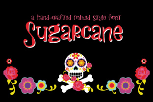 Sugarcane Font: Whimsical Branding for Small Business