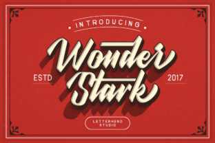 Wonder Stark Font: Bold Script for Small Business Branding